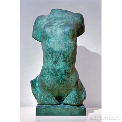 Торс молодой девушки