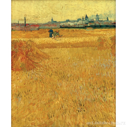 Пшеничное поле с видом на Арль