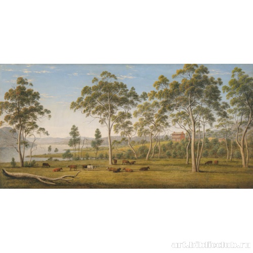 Дом господина Робинсона на Деруэнте. Земля Ван Димена