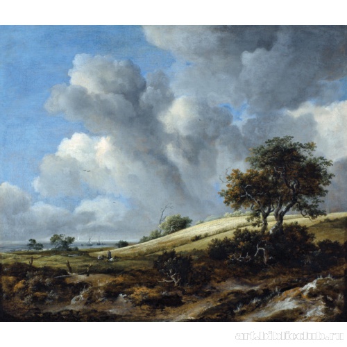 Поле с видом на Зёйдерзе