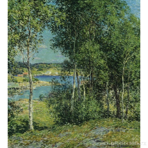 Березовая роща