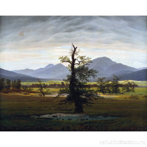 Одинокое дерево