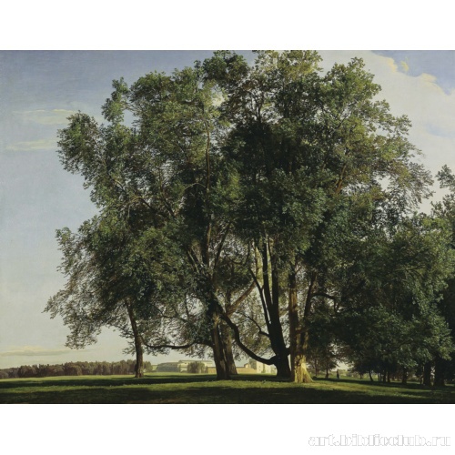 Вид на Пратер