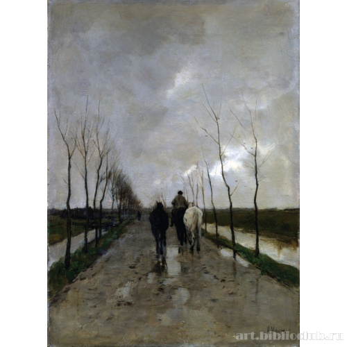 Голландская дорога