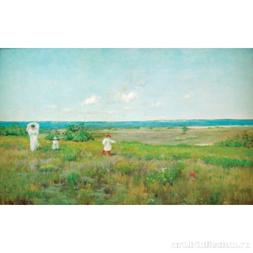 Рядом с пляжем, Шайнкок