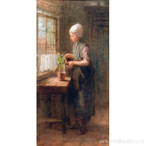 Новые цветы. Фрагмент