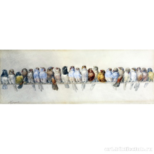 Птичий насест