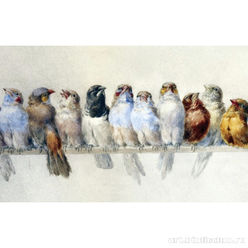 Птичий насест. Фрагмент