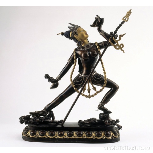 Народакини