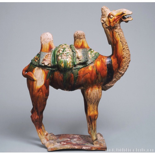 Двугорбый верблюд