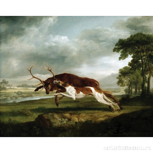 Борзая, гонящаяся за оленем