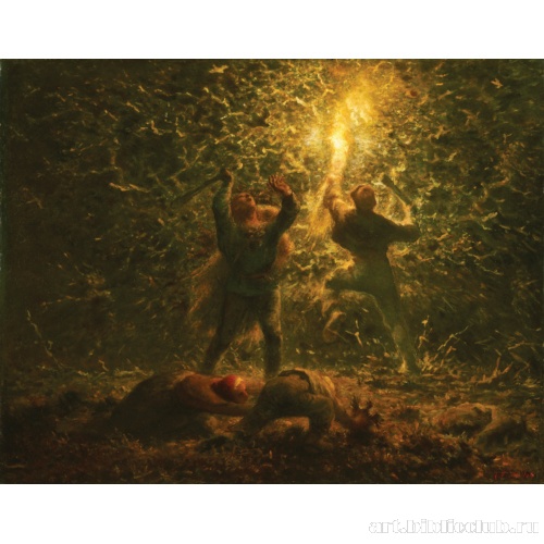 Нашествие птиц