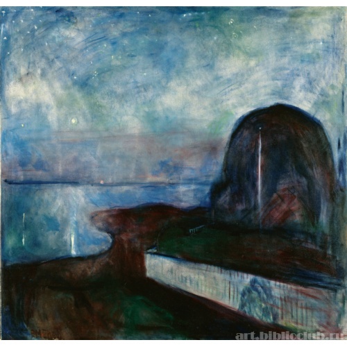 Звездная ночь