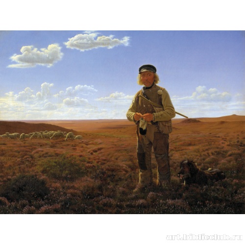 Ютландский пастух на торфяных полях