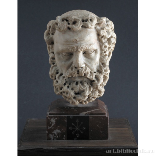 Голова бородатого мужчины