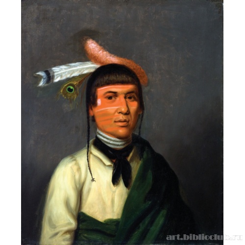 Ho-Тин (Ветер), вождь чиппева