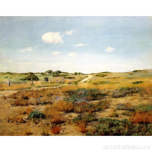 Холмы Шиннекок Хиллз