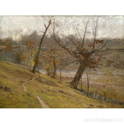 Цветение винограда