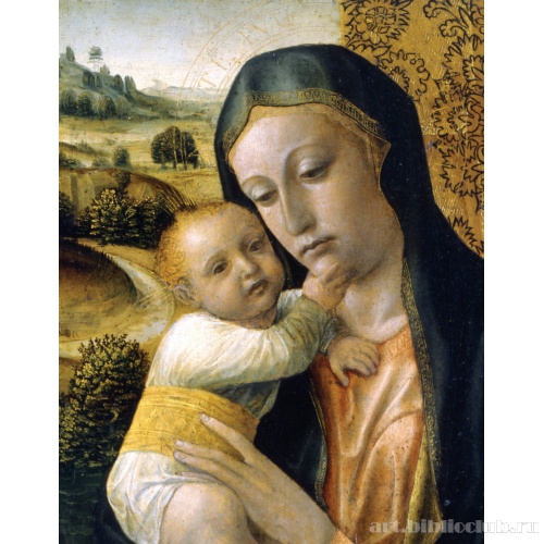 Мадонна с Младенцем. Фрагмент