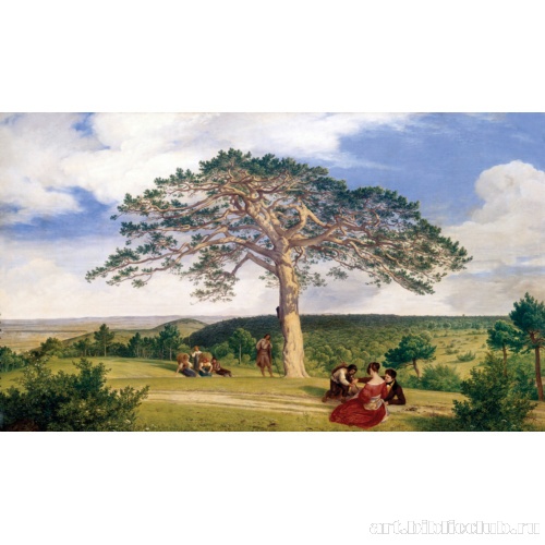 Широкая сосна в Брюле у Мёдлинга