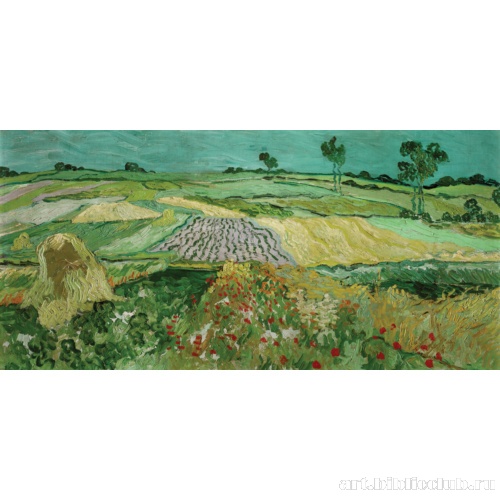 Равнина в Овер