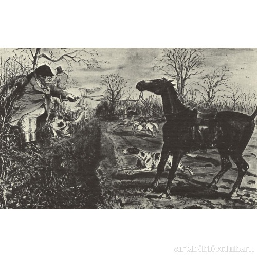 Ну, прыгай же наконец!