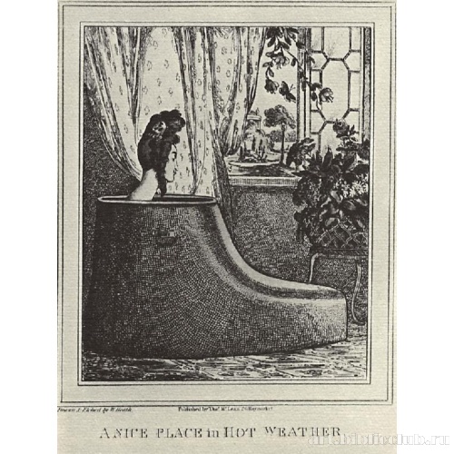 Что за славное местечко в жаркую погоду!