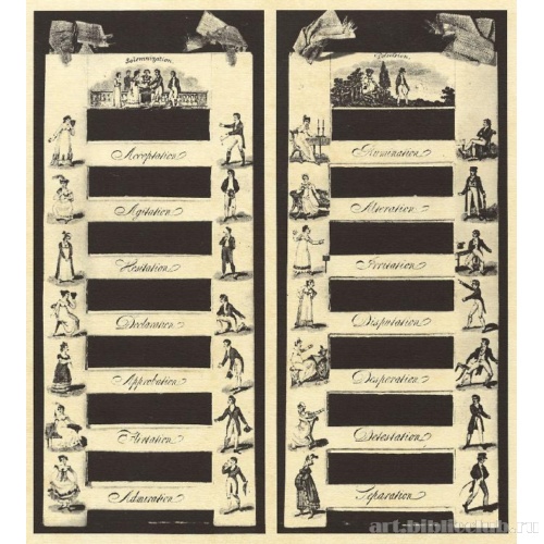 Ступени брака