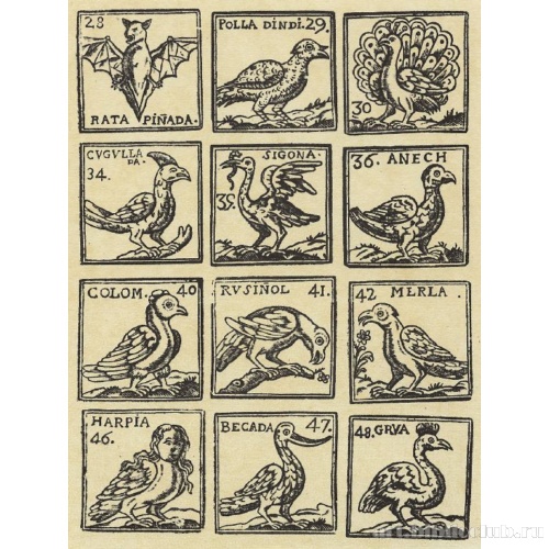 Крылатые животные