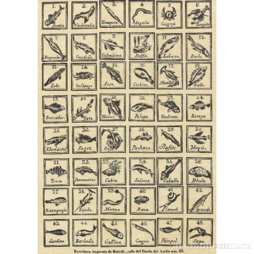 Морские животные