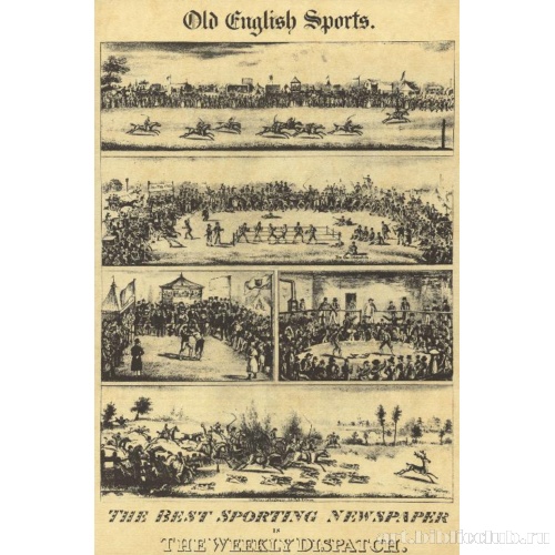 Традиционные английские виды спорта