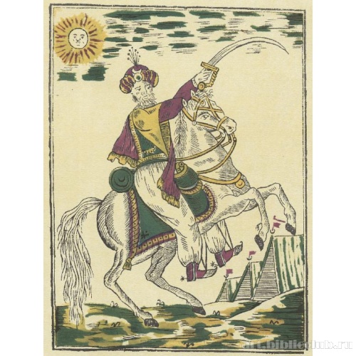 Алжирский солдат на коне