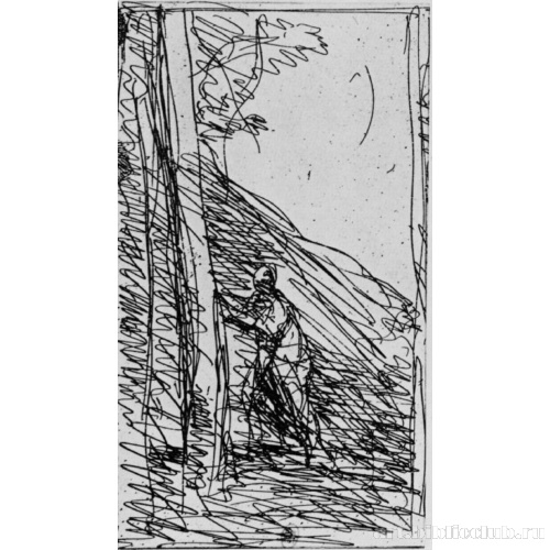 Большой дровосек