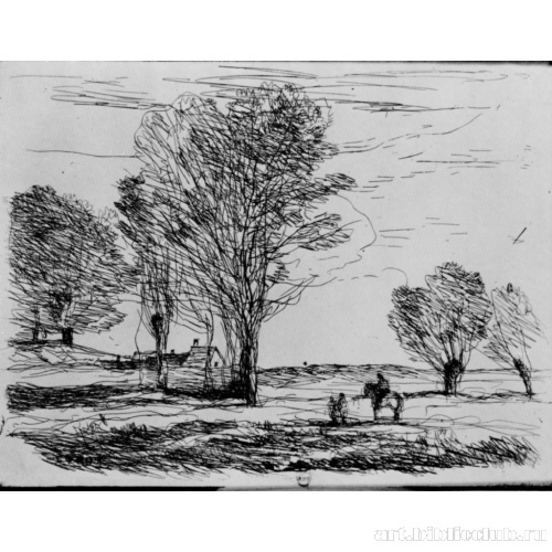 Всадник на проселке