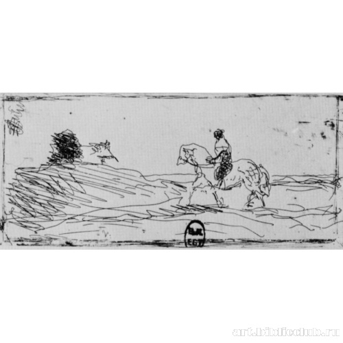 Визитная карточка конника