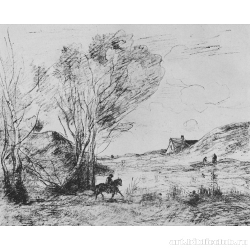 Всадник в камышах