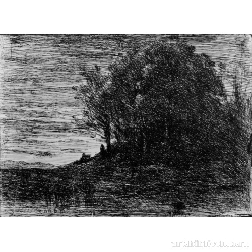 Лес отшельников