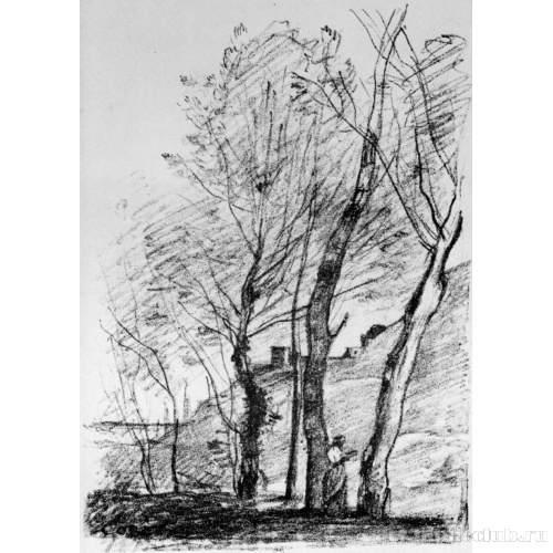 Чтение под деревьями