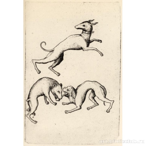 Большая игральная карта