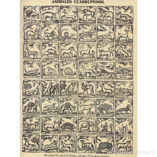 Четвероногие