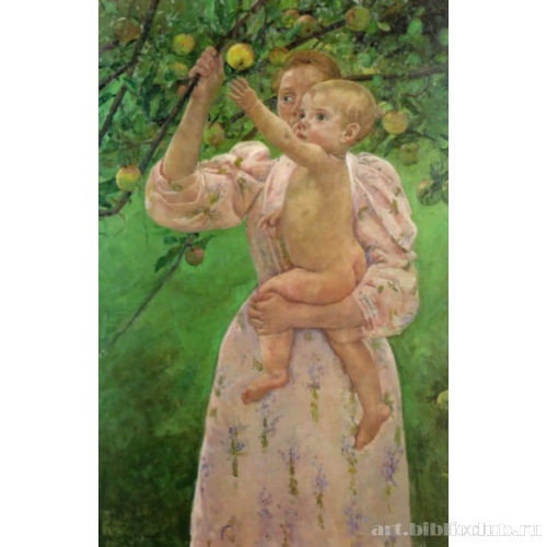 Ребнок срывает плод