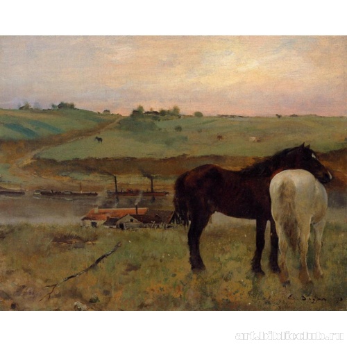 Лошади на лугу