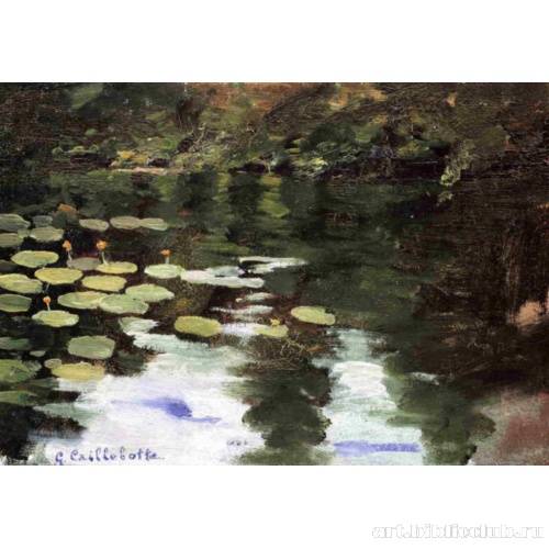 Йерр, водяные лилии на водоеме