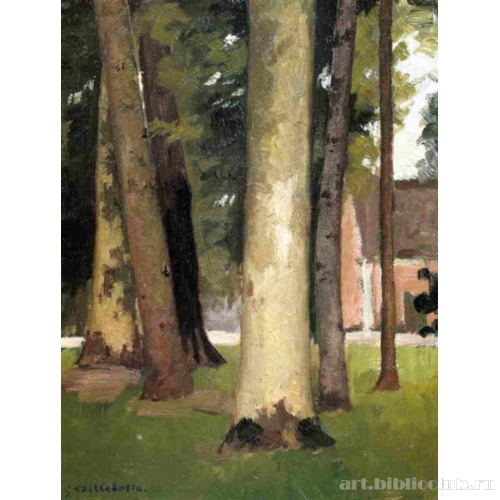 Йерр, сквозь рощу. Ботанический сад