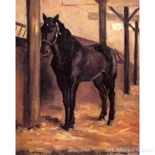 Йерр, темная лошадь в стойле у залива