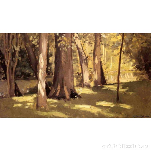 Йерр. Солнечные лучи