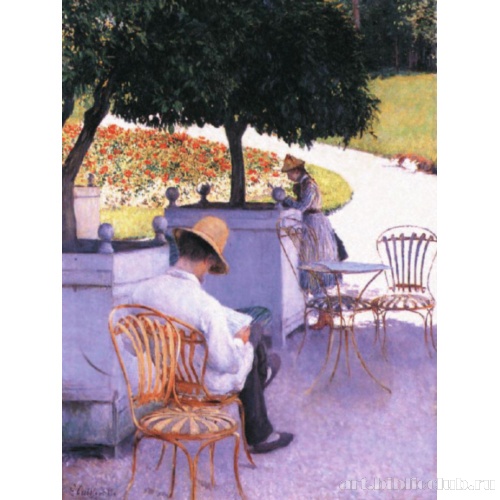 Апельсиновые деревья