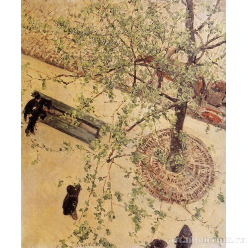 Бульвар, вид сверху