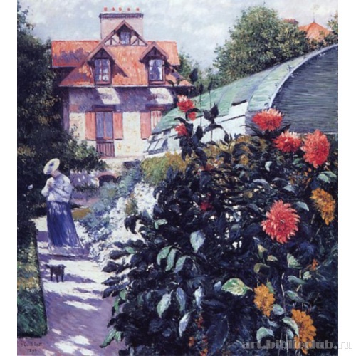 Георгины. Сад в Пти-Женевильер