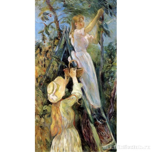 Вишневое дерево